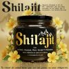 Shilajit original con invima