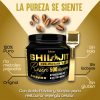 Shilajit Satoomi Tradicional